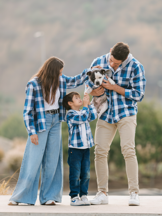 Conjuntos familiares