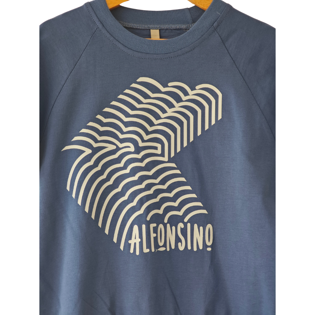 Polera niño Alfonsino 100% Algodón