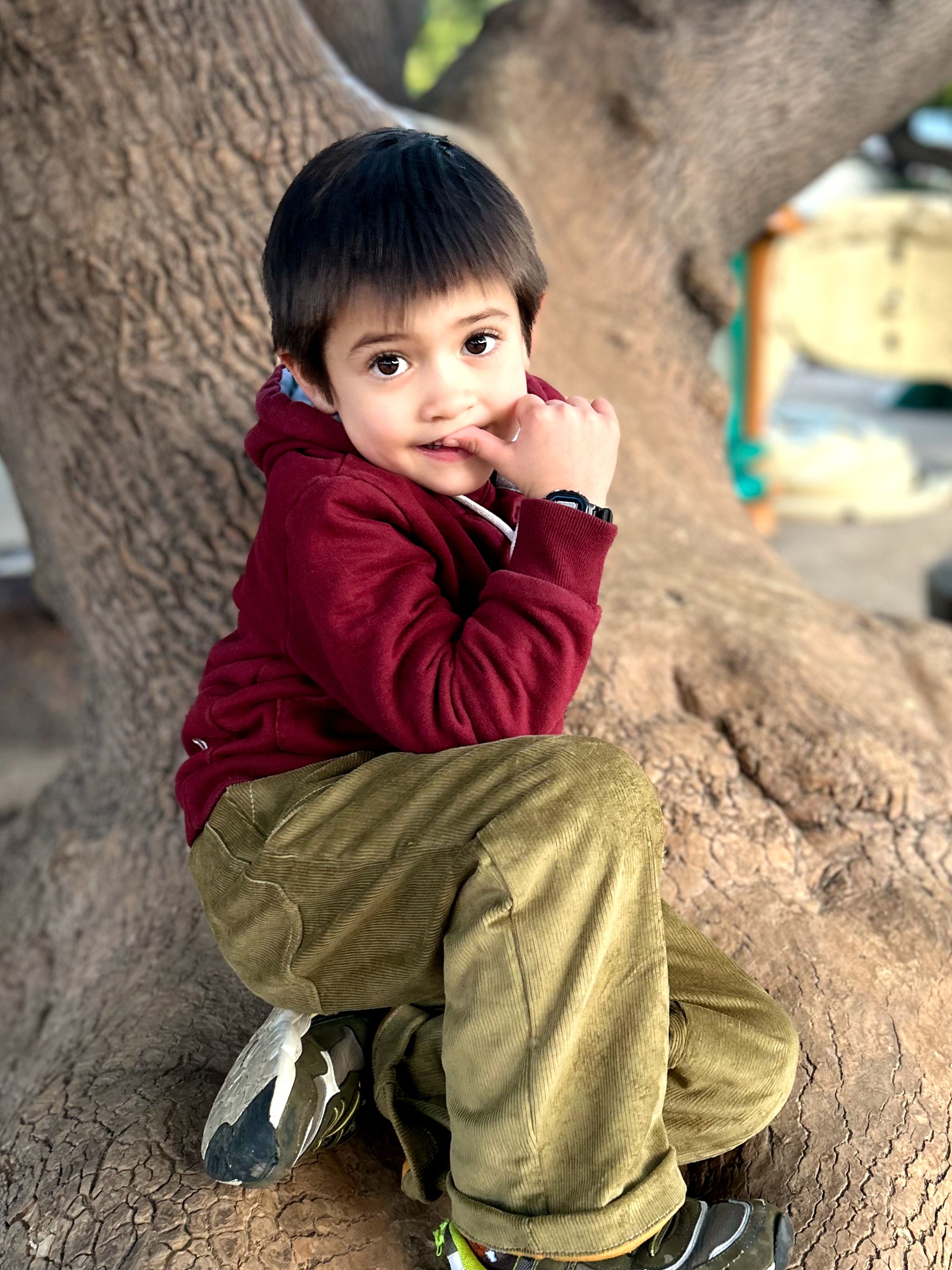 Polerón niño Max burdeo