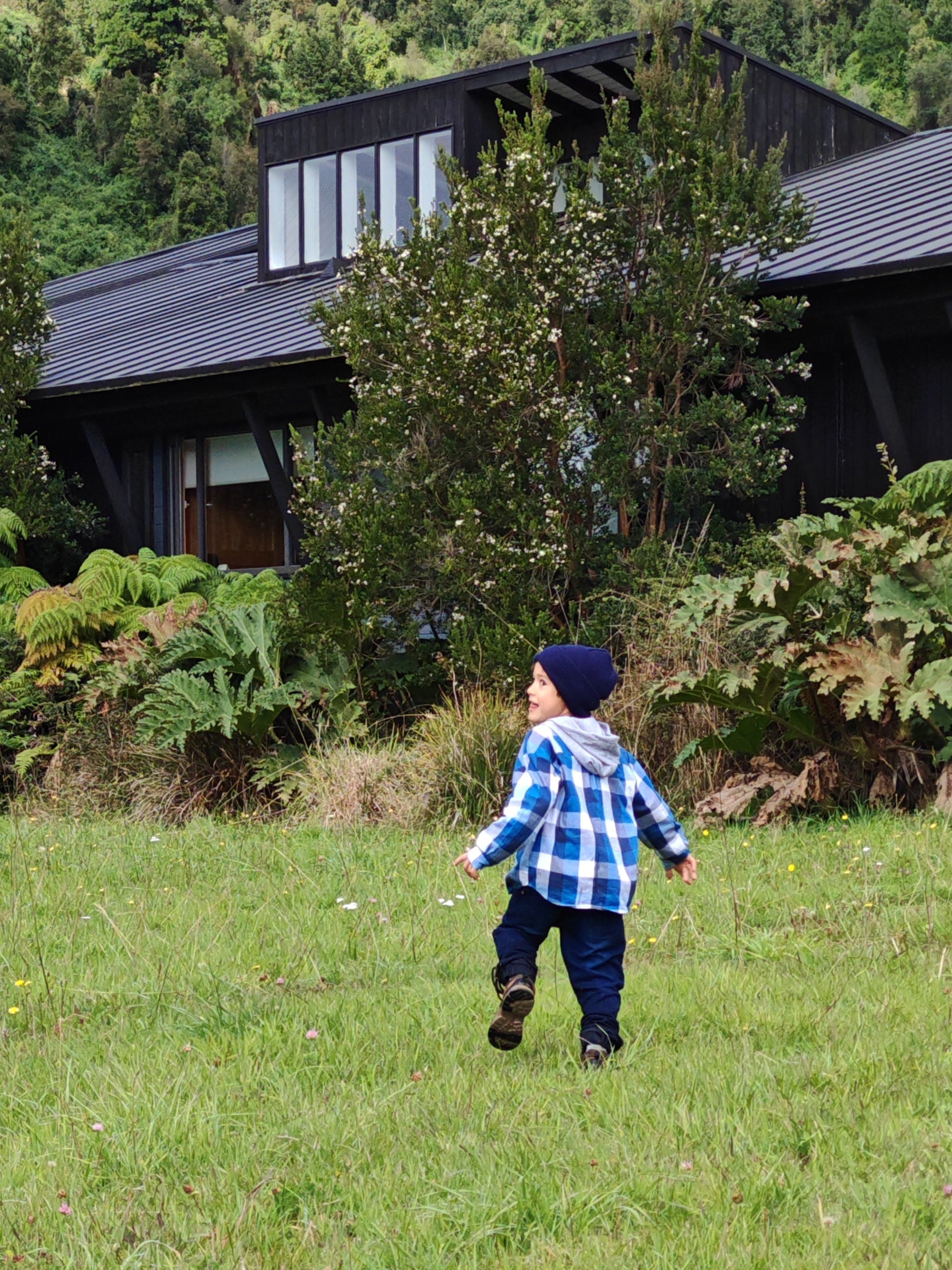 Camisa con capucha niño/a 100% algodón Franela cuadros azul con blanco