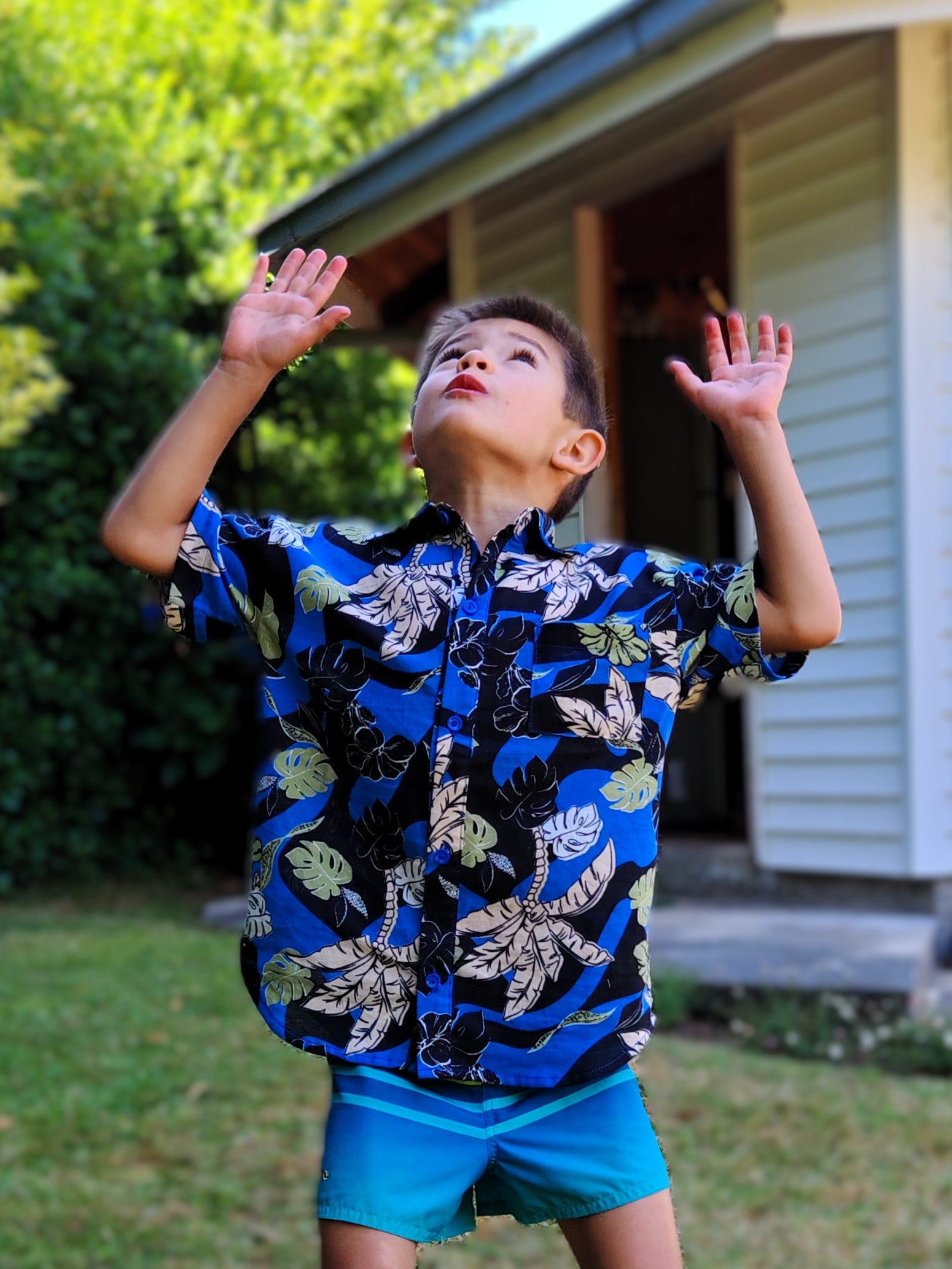 Guayabera Niño Silvestre
