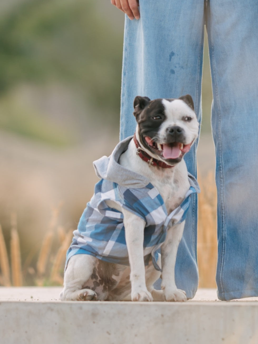 Camisa Gustavo Franela Perro