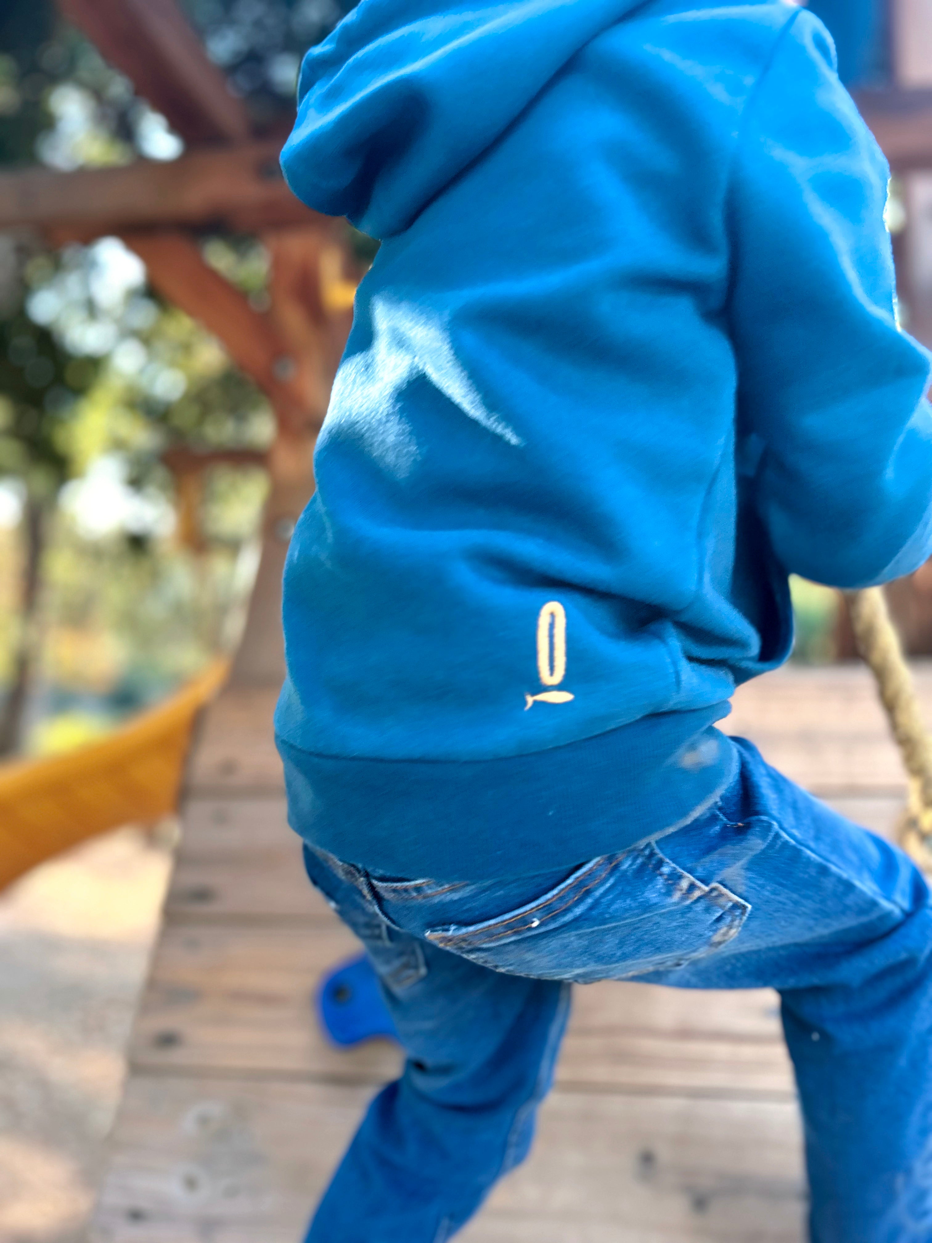 Polerón con capucha niño color azul