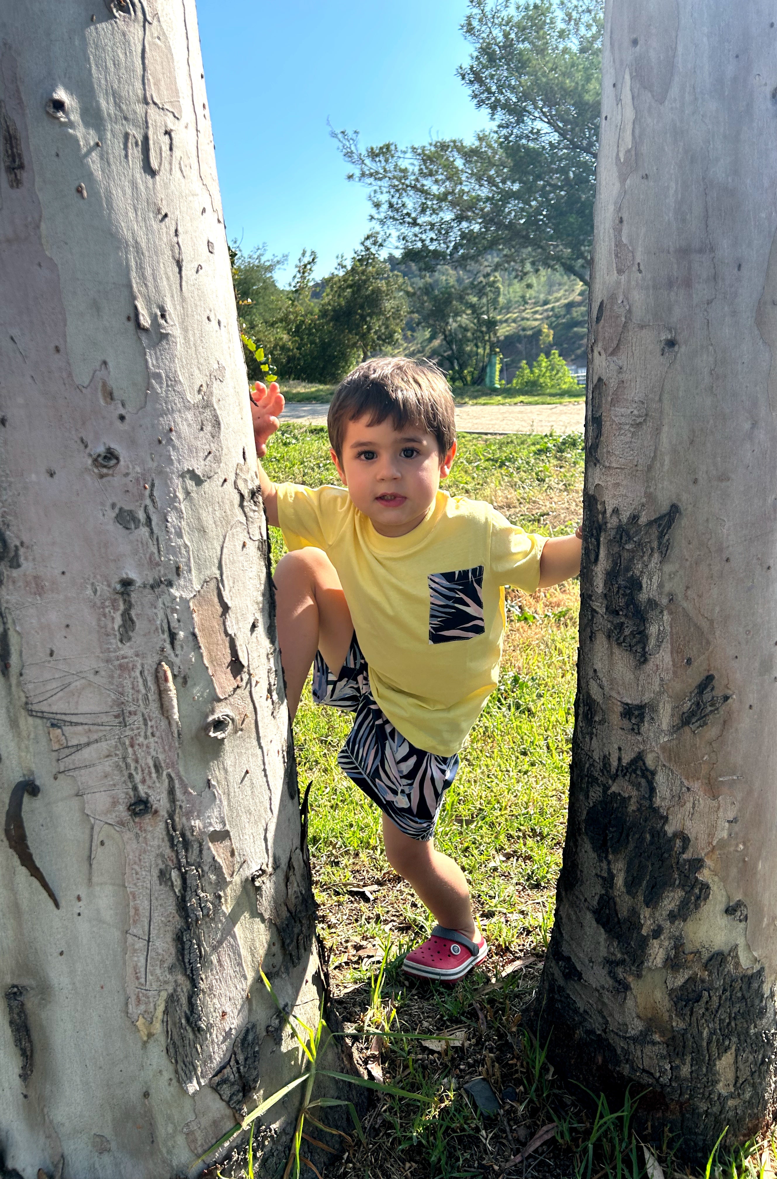 Conjunto short y polera Benjamín